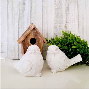 Set of 2 Farmhouse Resin Birds